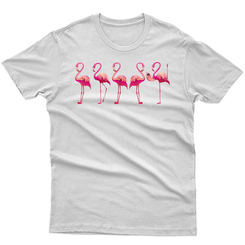 Funny Wine Dancing Flamingo Lover Flamingo T Shirt Gift